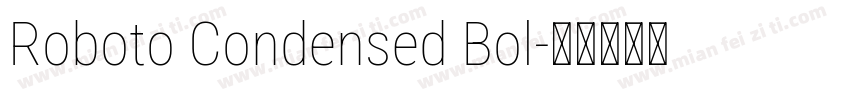Roboto Condensed Bol字体转换
